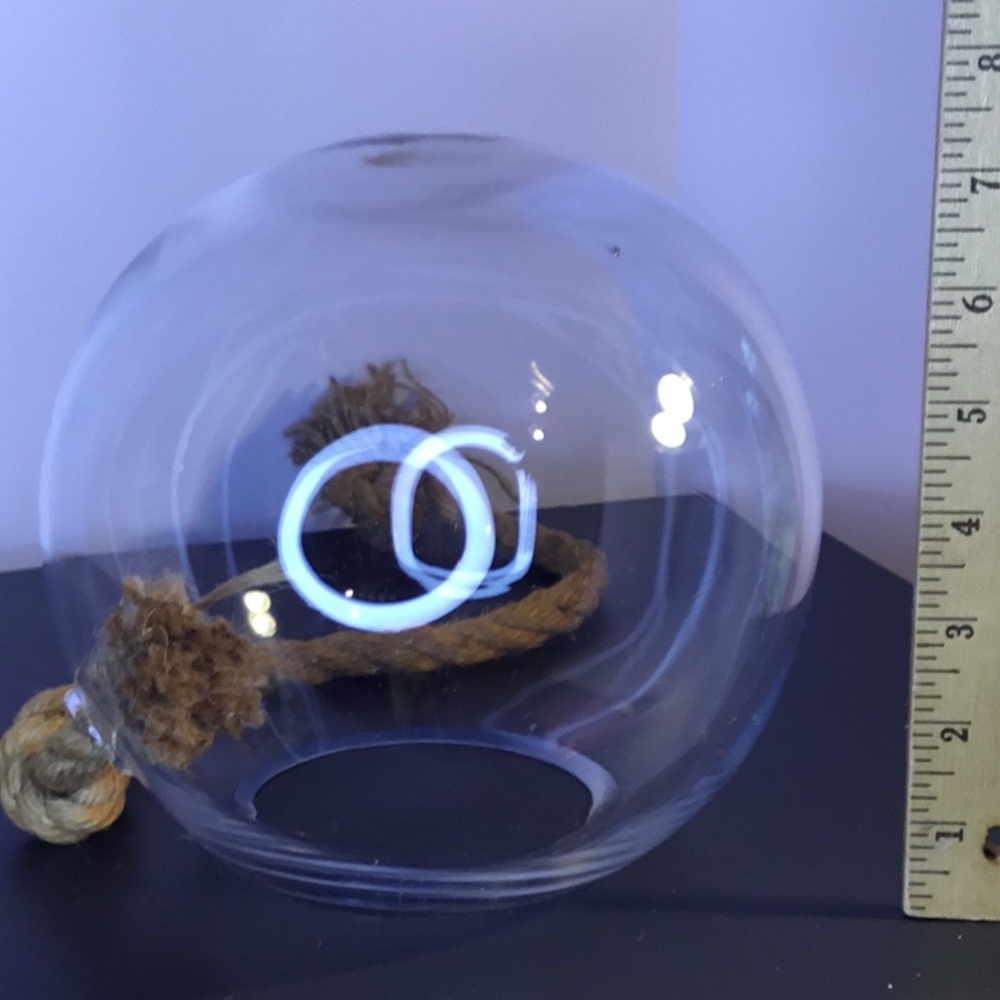 Large Hanging Globe Terrarium With Rope Hanger - Picture 16 of 16